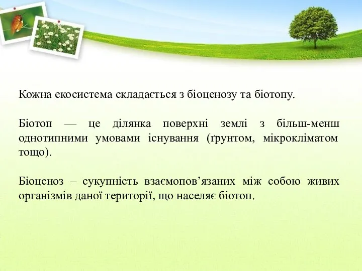 Кожна екосистема складається з біоценозу та біотопу. Біотоп — це ділянка