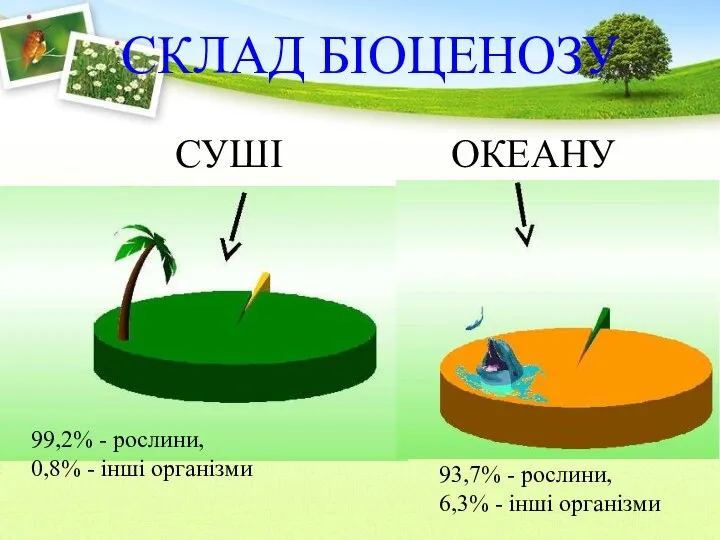 СКЛАД БІОЦЕНОЗУ СУШІ ОКЕАНУ 99,2% - рослини, 0,8% - інші організми