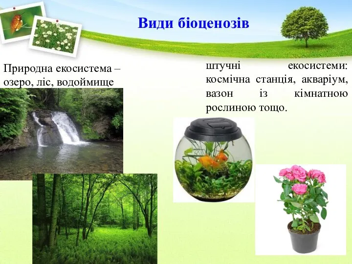 Природна екосистема – озеро, ліс, водоймище Види біоценозів штучні екосистеми: космічна