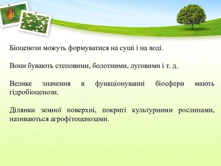 Біоценози можуть формуватися на суші і на воді. Вони бувають степовими,