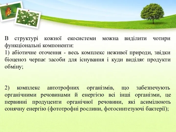 В структурі кожної екосистеми можна виділити чотири функціональні компоненти: 1) абіотичне