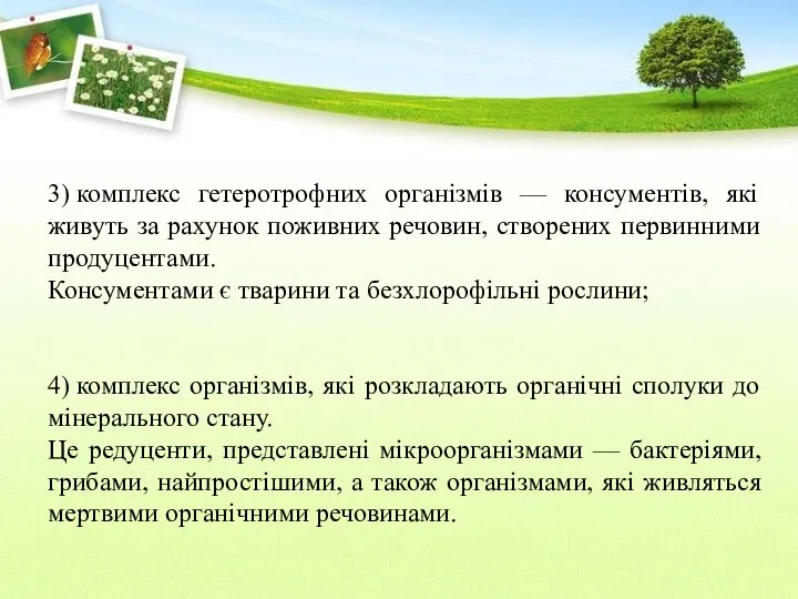 3) комплекс гетеротрофних організмів — консументів, які живуть за рахунок поживних