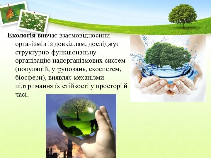 Екологія вивчає взаємовідносини організмів із довкіллям, досліджує структурно-функціональну організацію надорганізмових систем