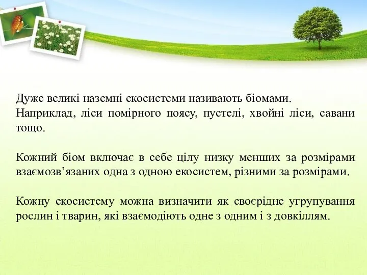 Дуже великі наземні екосистеми називають біомами. Наприклад, ліси помірного поясу, пустелі,