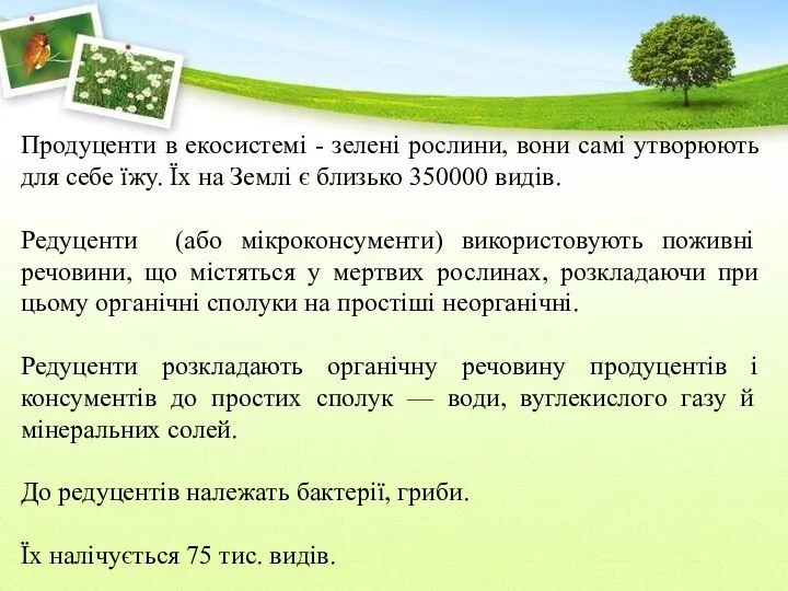 Продуценти в екосистемі - зелені рослини, вони самі утворюють для себе