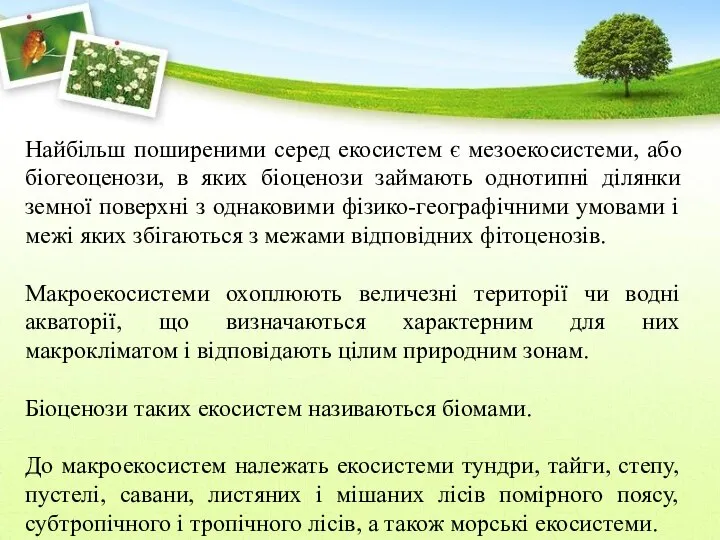 Найбільш поширеними серед екосистем є мезоекосистеми, або біогеоценози, в яких біоценози