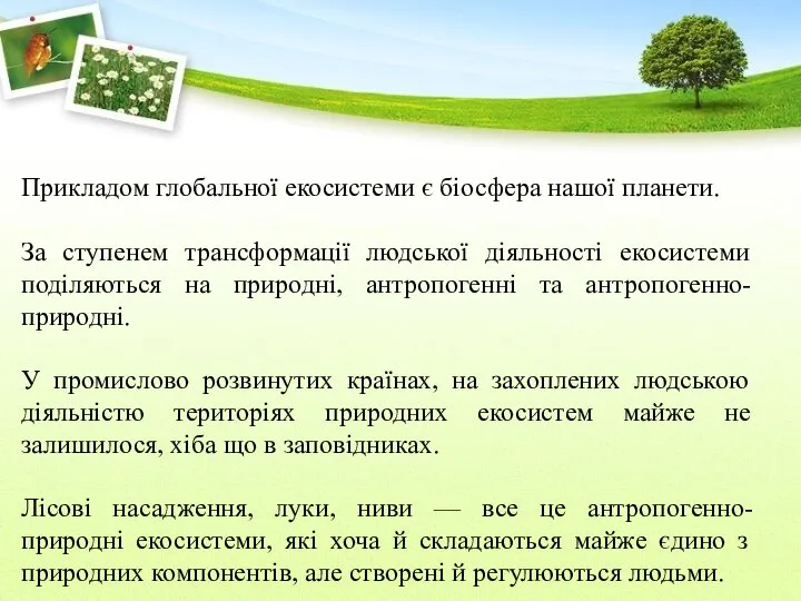 Прикладом глобальної екосистеми є біосфера нашої планети. За ступенем трансформації людської