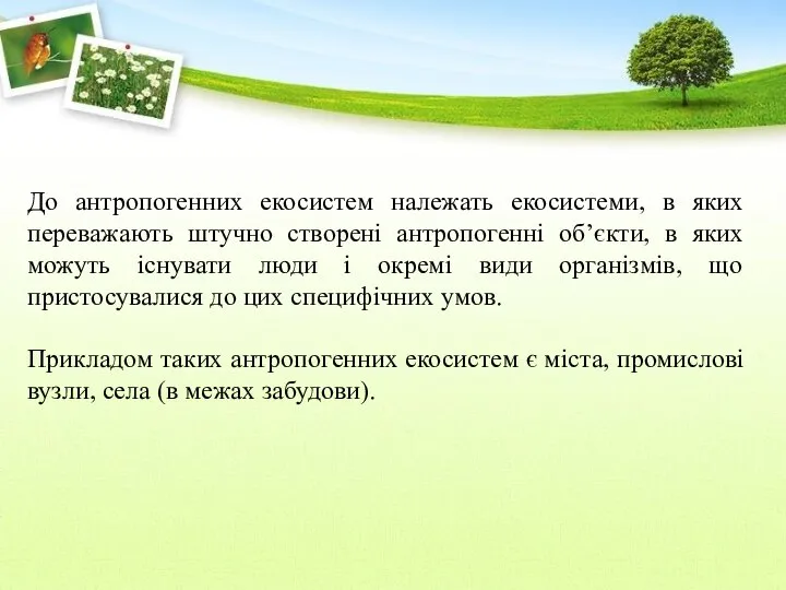 До антропогенних екосистем належать екосистеми, в яких переважають штучно створені антропогенні