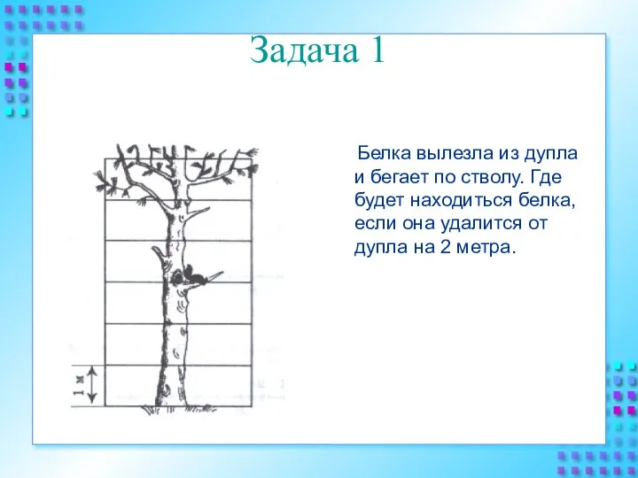 Задача 1 Белка вылезла из дупла и бегает по стволу. Где