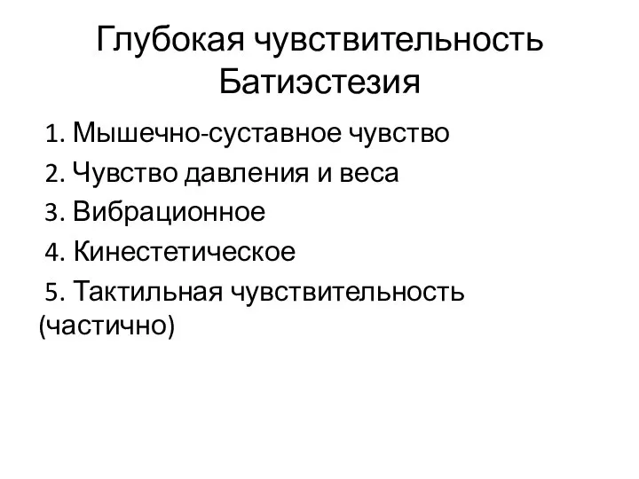 Глубокая чувствительность Батиэстезия 1. Мышечно-суставное чувство 2. Чувство давления и веса