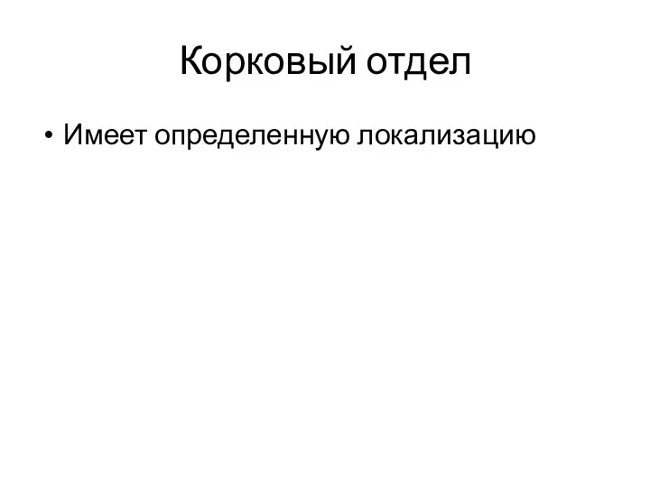 Корковый отдел Имеет определенную локализацию