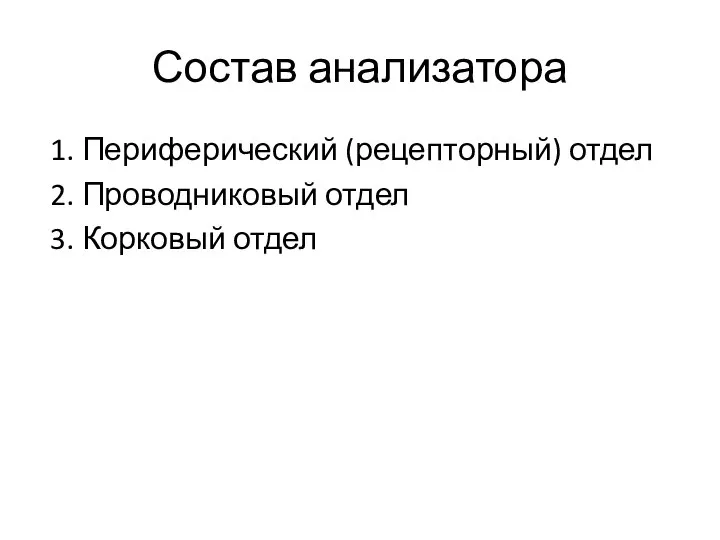 Состав анализатора 1. Периферический (рецепторный) отдел 2. Проводниковый отдел 3. Корковый отдел