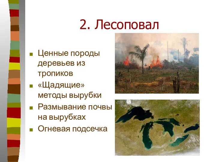 2. Лесоповал Ценные породы деревьев из тропиков «Щадящие» методы вырубки Размывание почвы на вырубках Огневая подсечка