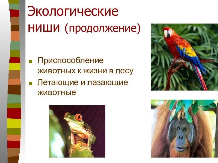Экологические ниши (продолжение) Приспособление животных к жизни в лесу Летающие и лазающие животные
