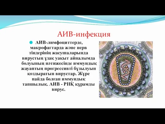 АИВ-лимфоциттерде, макрофагтарда және нерв тіндерінің жасушаларында вирустың ұзақ уақыт айналымда болуының