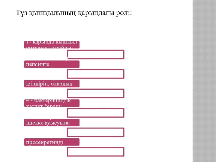 Тұз қышқылының қарындағы ролі: 1- қарында қышқыл орталық жасайды; 2 -