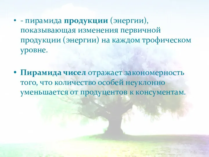 - пирамида продукции (энергии), показывающая изменения первичной продукции (энергии) на каждом