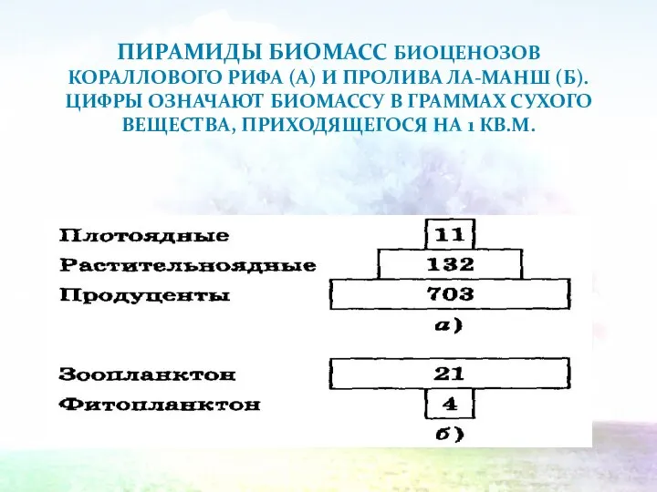 ПИРАМИДЫ БИОМАСС БИОЦЕНОЗОВ КОРАЛЛОВОГО РИФА (А) И ПРОЛИВА ЛА-МАНШ (Б). ЦИФРЫ