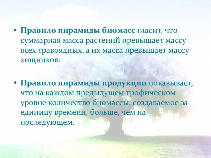 Правило пирамиды биомасс гласит, что суммарная масса растений превышает массу всех