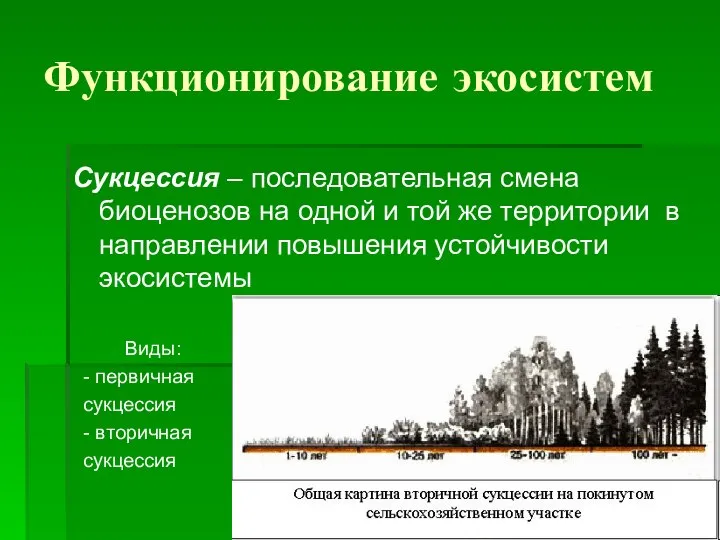 Функционирование экосистем Сукцессия – последовательная смена биоценозов на одной и той