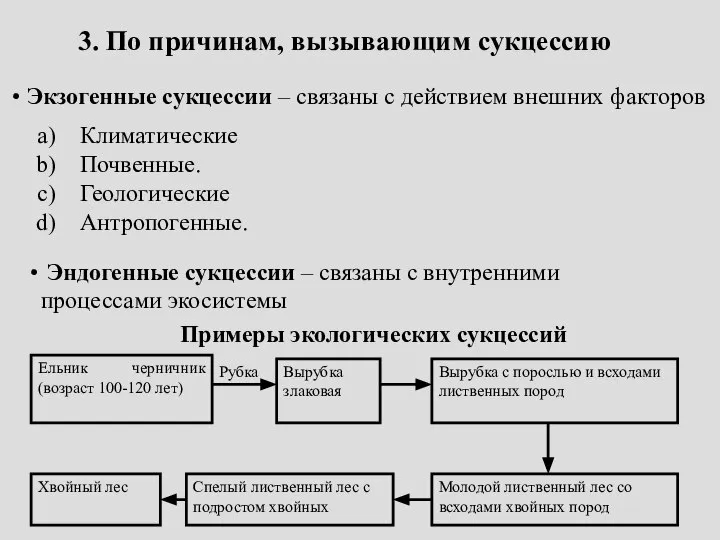 3. По причинам, вызывающим сукцессию Экзогенные сукцессии – связаны с действием