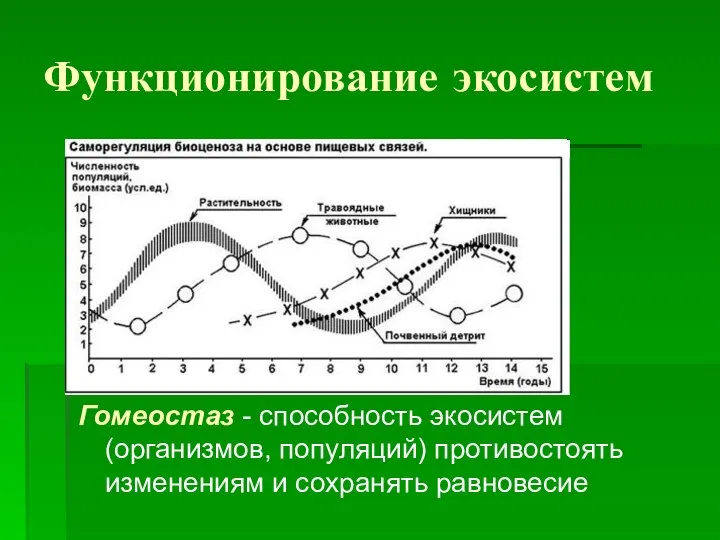 Функционирование экосистем Гомеостаз - способность экосистем (организмов, популяций) противостоять изменениям и сохранять равновесие