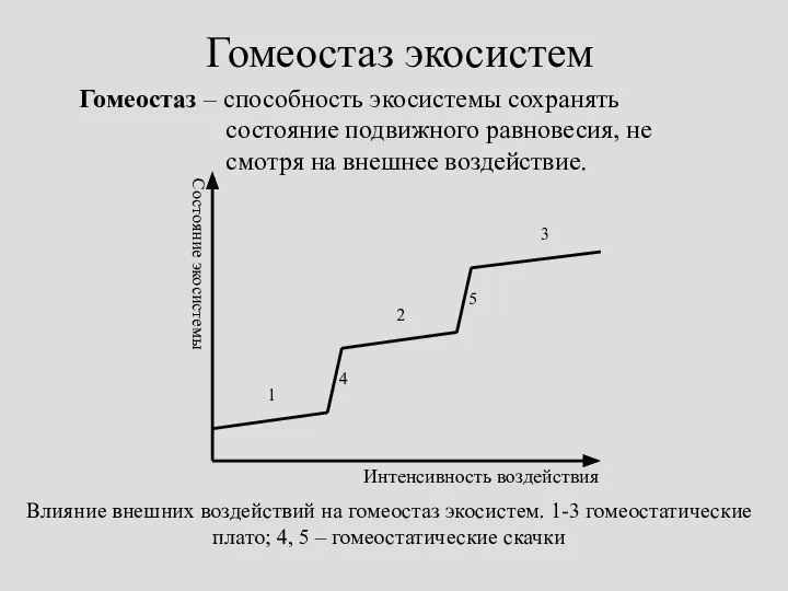 Гомеостаз экосистем Гомеостаз – способность экосистемы сохранять состояние подвижного равновесия, не смотря на внешнее воздействие.