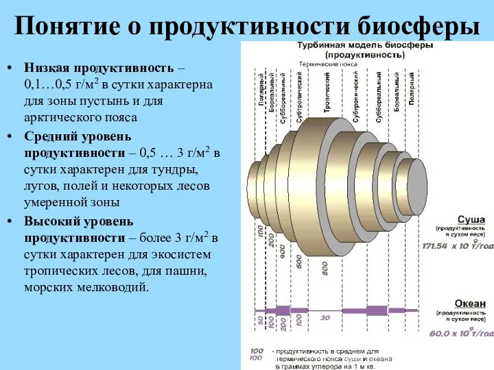 Понятие о продуктивности биосферы Низкая продуктивность – 0,1…0,5 г/м2 в сутки