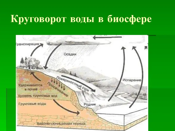 Круговорот воды в биосфере