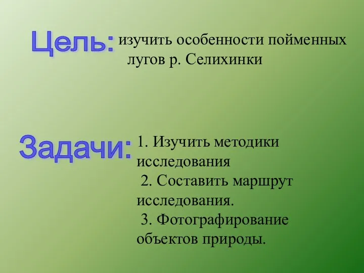 изучить особенности пойменных лугов р. Селихинки Цель: Задачи: 1. Изучить методики