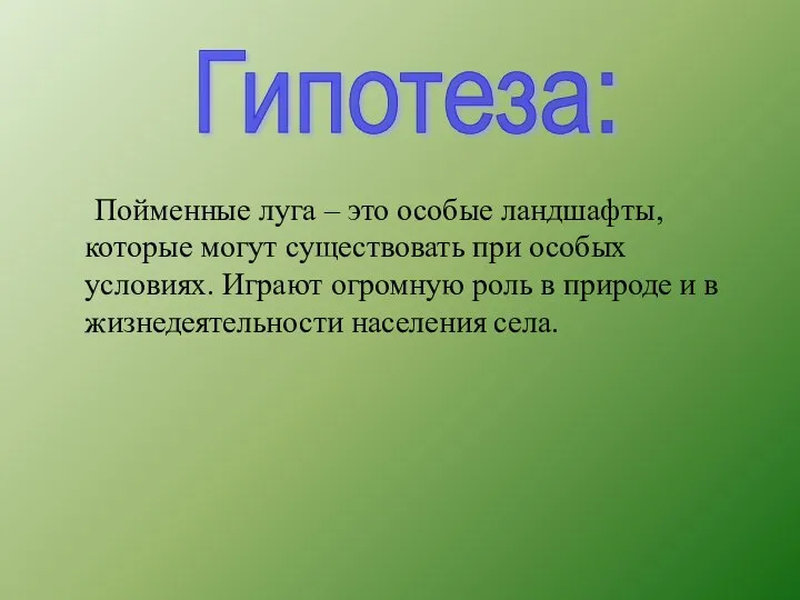 Пойменные луга – это особые ландшафты, которые могут существовать при особых