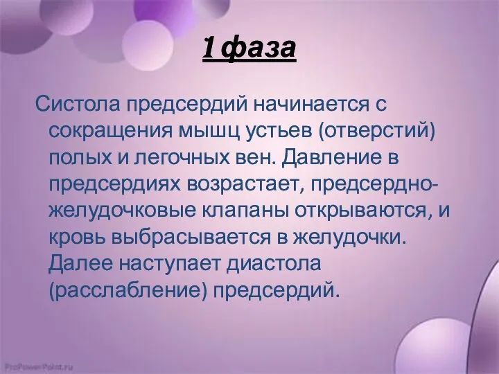 1 фаза Систола предсердий начинается с сокращения мышц устьев (отверстий) полых