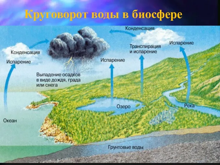 Круговорот воды в биосфере