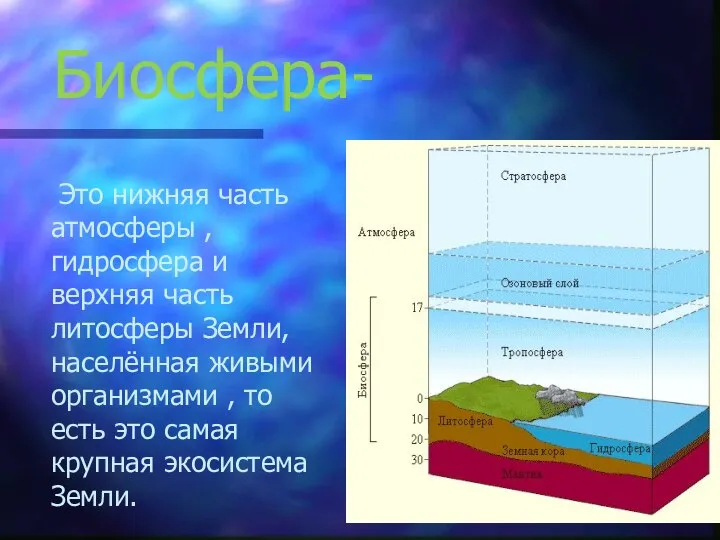 Биосфера- Это нижняя часть атмосферы , гидросфера и верхняя часть литосферы