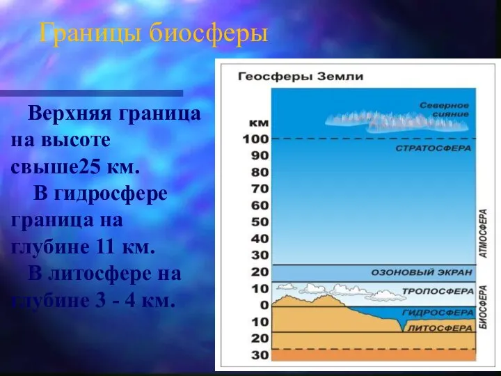 Границы биосферы Верхняя граница на высоте свыше25 км. В гидросфере граница