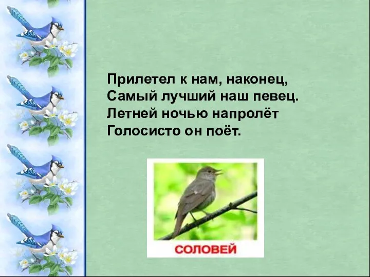 Прилетел к нам, наконец, Самый лучший наш певец. Летней ночью напролёт Голосисто он поёт.