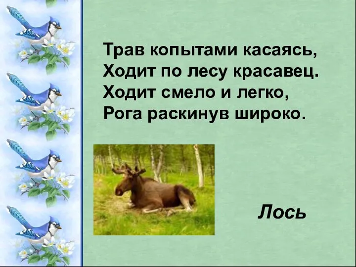 Трав копытами касаясь, Ходит по лесу красавец. Ходит смело и легко, Рога раскинув широко. Лось