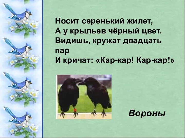 Носит серенький жилет, А у крыльев чёрный цвет. Видишь, кружат двадцать