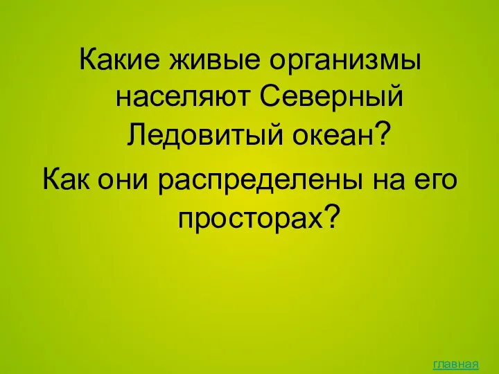 Какие живые организмы населяют Северный Ледовитый океан? Как они распределены на его просторах? главная