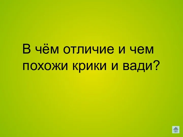 В чём отличие и чем похожи крики и вади?