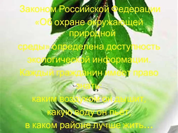 Законом Российской Федерации «Об охране окружающей природной среды» определена доступность экологической