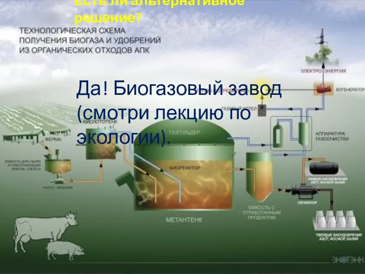 Есть ли альтернативное решение? Да! Биогазовый завод (смотри лекцию по экологии).