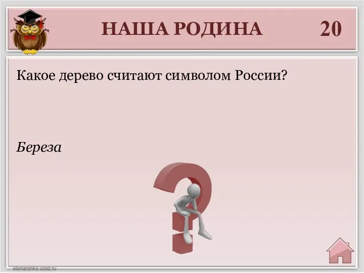 НАША РОДИНА 20 Береза Какое дерево считают символом России?