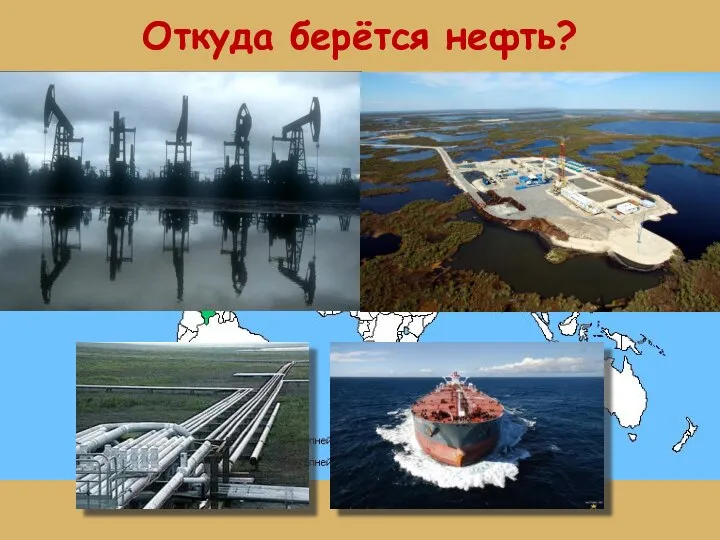 Откуда берётся нефть?