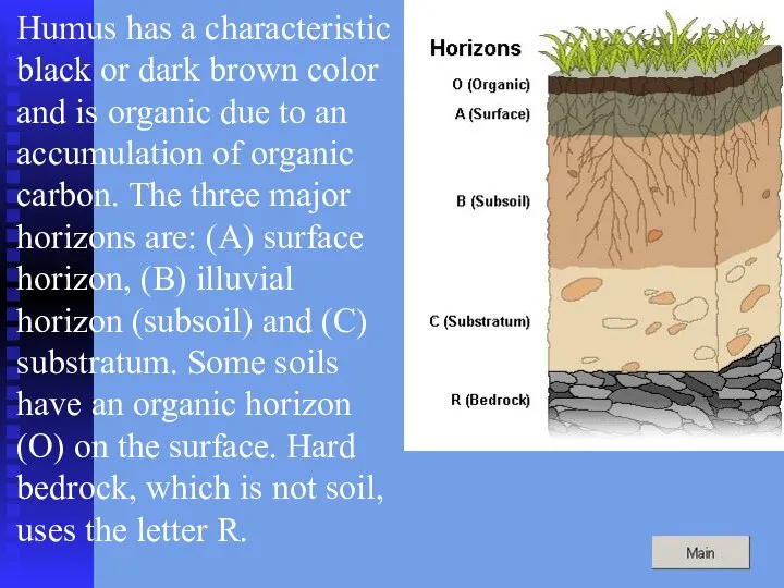 Humus has a characteristic black or dark brown color and is