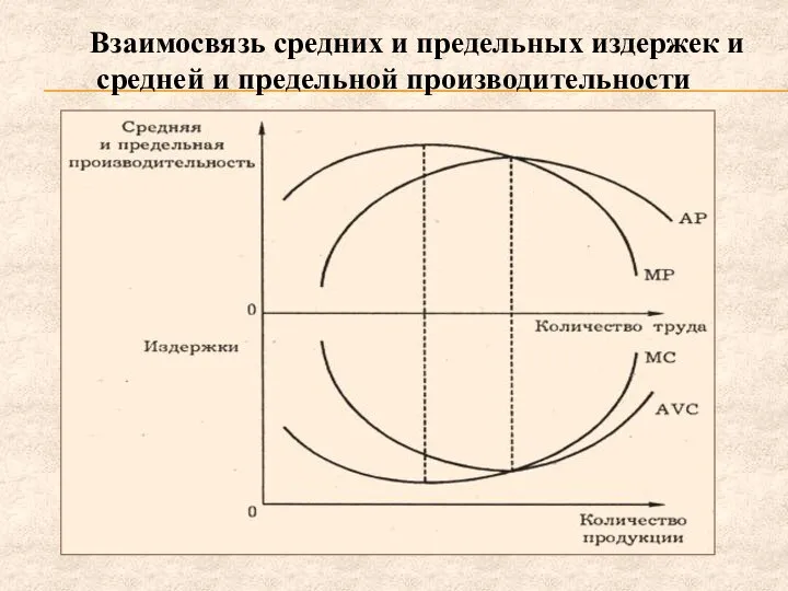 Взаимосвязь средних и предельных издержек и средней и предельной производительности