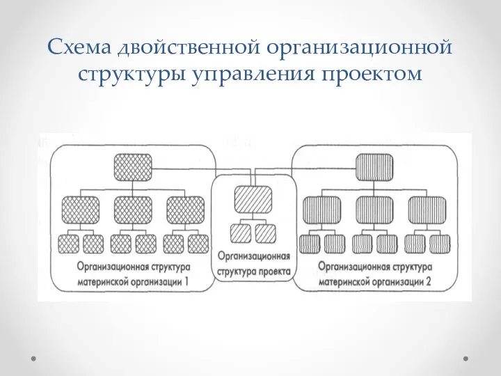 Схема двойственной организационной структуры управления проектом
