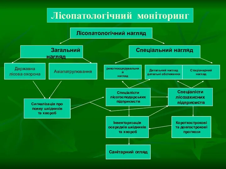 Загальний нагляд Лісопатологічний моніторинг Авіапатрулювання Лісопатологічний нагляд Державна лісова охорона Спеціальний