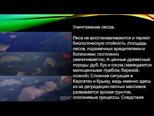 Уничтожение лесов: Леса не восстанавливаются и теряют биологическую стойкость (площадь лесов,