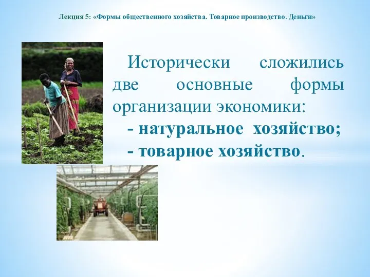 Лекция 5: «Формы общественного хозяйства. Товарное производство. Деньги» Исторически сложились две